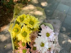 -溪岸路花鸟市场