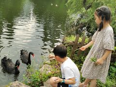 -水绘园