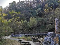 -洪崖丹井