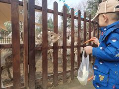 -西安秦岭野生动物园