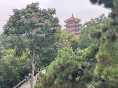 -黄鹤楼公园(黄鹤楼)