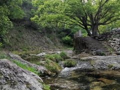 -雁荡山大龙湫景区