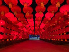 -南宫五洲植物乐园