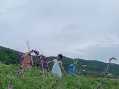 -东海半边山旅游度假区