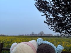 -汉长安城未央宫国家考古遗址公园