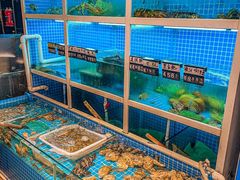 -金龙·打边炉(南京西路店)