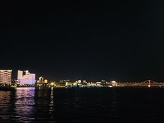 -武汉两江游览·夜游长江(汉口粤汉码头)