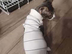 -爱侣宠医·鹦鹉专科·小型哺乳类·异宠专科(灵石路店)