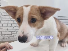 -白夜2D咖啡馆