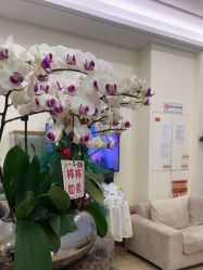 -美丽田园