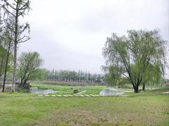 -洋湖国家湿地公园