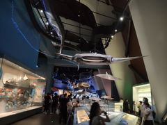 -贝林大翅鲸简餐厅(国家海洋博物馆店)