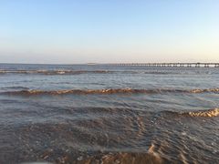-南汇新城海滩