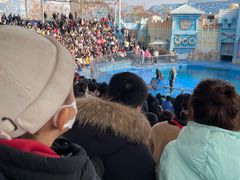 -华夏文旅海洋公园