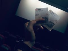 -国文影城(上海闸北店)