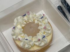 -猫里有甜