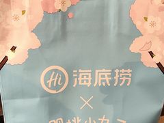 -海底捞火锅(牡丹园店)