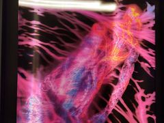 -chi K11艺术空间展览厅