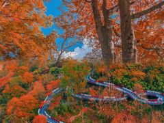 -光雾山旅游景区