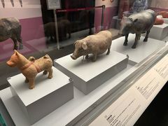 -九龙公园