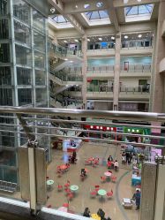 -首都医科大学附属北京儿童医院