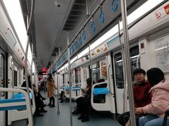 -大龙山(地铁站)