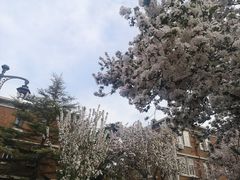 -天津五大道文化旅游区