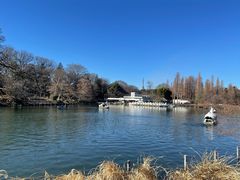 -井之头恩赐公园