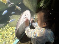 -苏州海洋馆