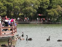-五缘湾湿地公园