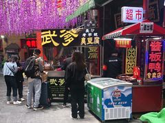 -武爹臭豆腐(坡子街店)