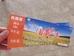 -呼兰河口湿地公园