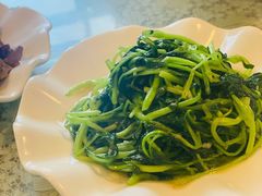 鸡毛菜-文三里屯面馆(三里屯店)
