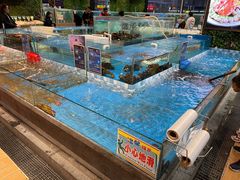 水产区-宝燕海鲜(好爱店)