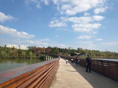 -昆山城市生态森林公园