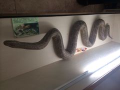 iphone_upload_pic-下渚湖国家湿地公园科普馆