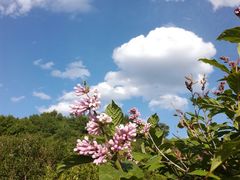 -野三坡百草畔景区