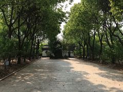 -南汇桃花村