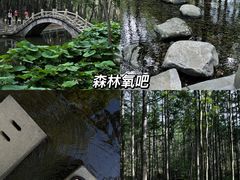 -洛阳白云山景区