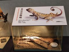 -重庆自然博物馆(新馆)
