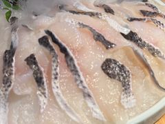 -辣伍鲜毛肚老火锅(元一店)