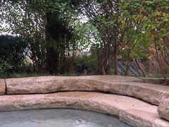 -西安华清御汤酒店