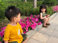 -北京呀路古热带植物园