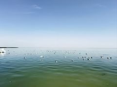 -青海湖国家重点风景名胜区