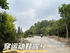-大湾区中央湿地公园