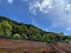 -香港大学