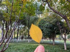 -后襄河公园