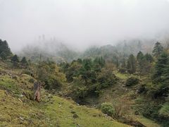 -硗碛藏寨·神木垒景区