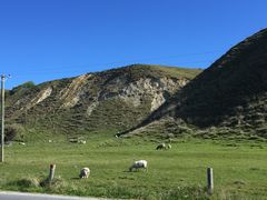 -Kaikoura Seafood BBQ Kiosk