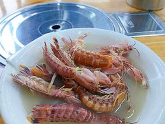 盐水濑尿虾-蚝得喜海鲜(东城店)